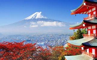 孤山信 日本,揭秘日本古代神秘信使的传奇故事