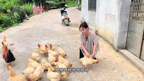 老公鸡吧被割了,一场悲剧背后的深思