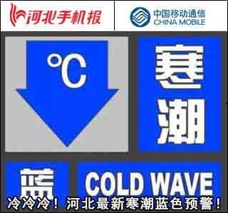 河北热点爆料新闻最新今天,突发事件引发全民关注