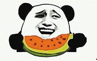 娱乐吃瓜酱感受不到的爱